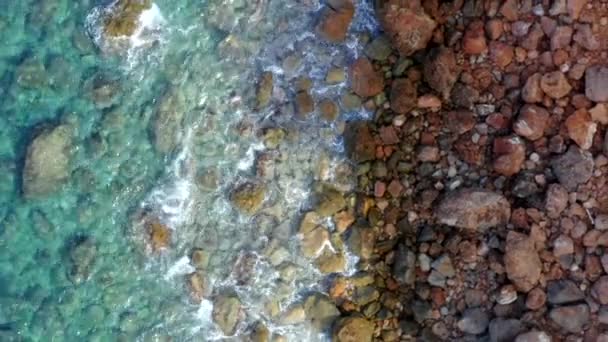 AERIAL: Piękny kolorowy widok na wybrzeże tropikalnej wyspy z brązowym piaskiem, wodą, falami i dżungli Wakacje w lesie, Podróże, Słoneczny, Ocean — Wideo stockowe