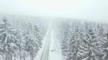 Alman Ormanı Taunus, Winter, Snow Forest caddesindeki güzel beyaz kar ormanı üzerinde uçuş.