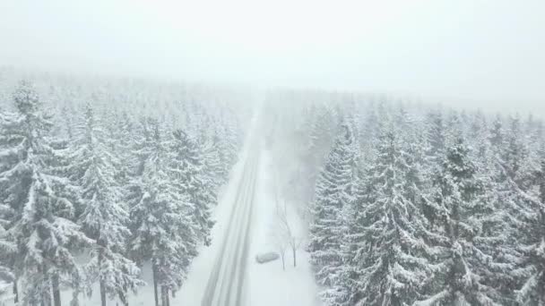 AERIAL: Vuelo sobre la hermosa calle blanca del bosque de nieve en el bosque alemán Taunus, invierno, nieve — Vídeos de Stock