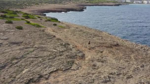 AERIAL: Mann mit Rucksack wandert über Felsen, Küste an heißen Tagen auf Tropical Island sonniges Wetter, Sonnenschein — Stockvideo