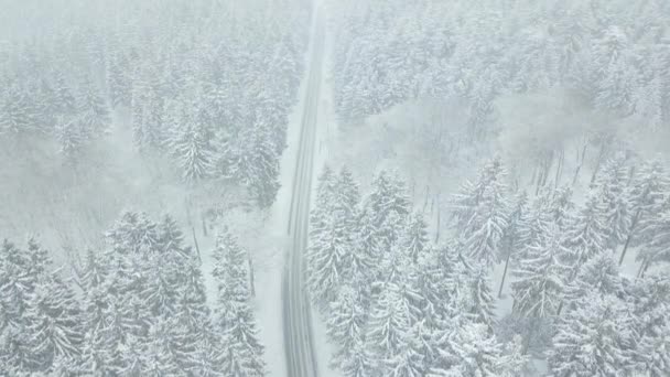 AERIAL: Vuelo sobre la hermosa calle blanca del bosque de nieve en el bosque alemán Taunus, invierno, nieve — Vídeos de Stock
