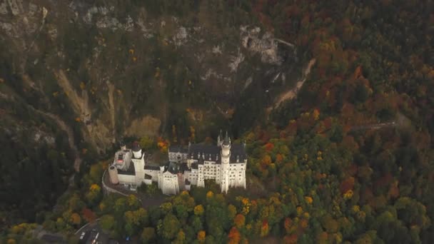 AERIAL: Uitzicht op kasteel Neuschwanstein in het bos, bergen, zomer, mistig, kleurrijk — Stockvideo