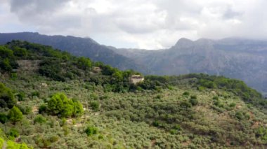 Tropikal Mallorca 'da Orman Dağları, İspanya Güneşli Gün Tatili, Seyahat, Güneşli Dalgalar 