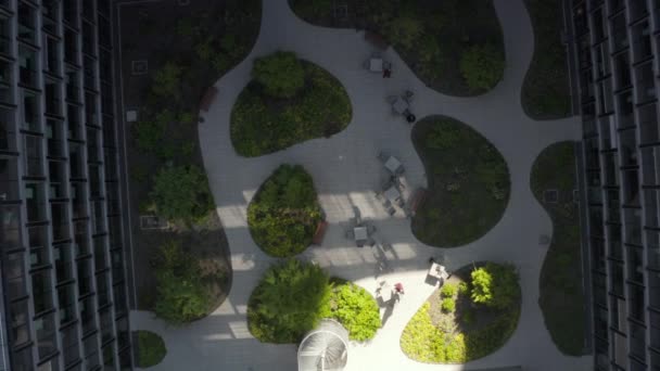 AERIAL: Birdsview of Skyscraper Garden with Green Trees in Urban environment with city traffic at sunny day in Frankurt am Main Germany — Vídeo de Stock