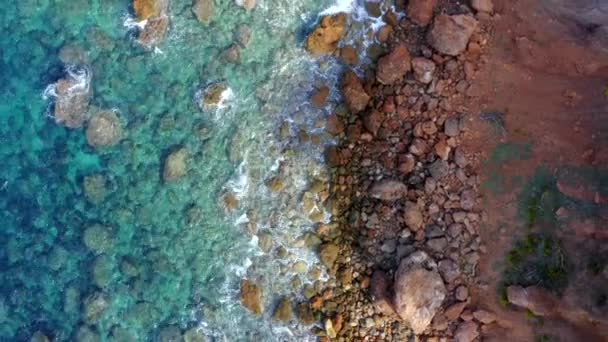 AERIELL: Vacker färgglad fågelutsikt över den tropiska ön kusten med brunt sand, vatten, vågor och djungelskog semester, resor, soligt, hav — Stockvideo