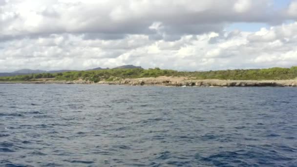 AERIAL: Tropical Island Rock Coast mit Dschungel im Hintergrund Sonniges Wetter, Sonnenschein — Stockvideo