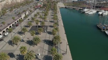 Güneşli bir günde İspanya, Barselona 'daki rıhtım suyunda palmiye ağaçları ile yavaş uçuş. 