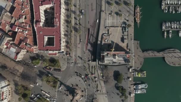 AERIAL: Rotonda del Monumento a Colón en Barcelona, España con tráfico de coches congestionados en el día soleado — Vídeos de Stock