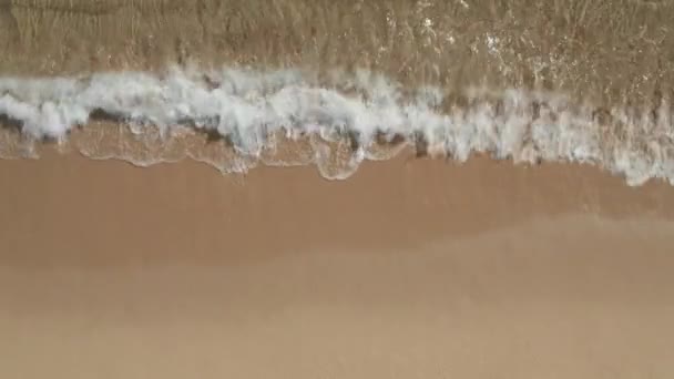 AERIAL: Прекрасний загальний тропічний пляж Накладний знімок, вид на птахи океанічних хвиль, що падають на порожній пляж зверху — стокове відео