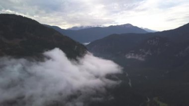 Arka planda kar ve orman olan manzaralı Dağ Manzarası, Kış