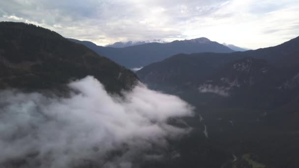 AERIAL: 배경에 숲 과 눈 이 있는 아름다운 산 경관, 겨울 — 비디오