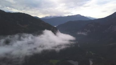 Arka planda kar ve orman olan manzaralı Dağ Manzarası, Kış