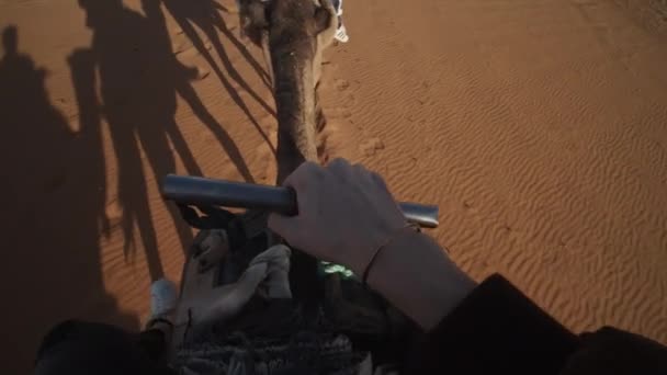 PRIMERA PERSONA DEL HOMBRE EN UN CAMELO DURANTE POR EL HERMOSO DESERT DE SAHARA CON LARGAS SOMBRAS EN SUNNY BLUE SKY DAY — Vídeo de stock