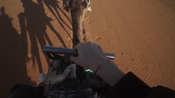 LÄGG MOTION: FÖRSTA PERSON POV AV MAN ON A CAMEL RIDING TROUGH BEAUTIFUL SAHARA DESERT WITH LONG SHADOWS ON SUNNY BLUE SKY DAY — Stockvideo