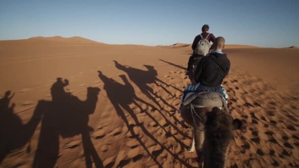 MOCIÓN LENTA: CAMEL TOUR TRUGH BEAUTIFUL SAHARA DESERT WITH LARGA SHADOWS ON SUNNY BLUE SKY DAY — Vídeo de stock