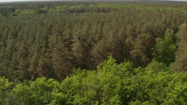 AERIAL: Langsamer Vorwärtsflug über sattgrüne Baumkronen über Deutschland Europawälder mit wolkenverhangenem Himmel — Stockvideo