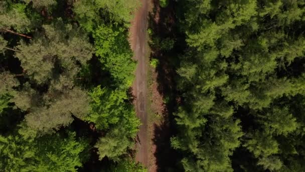 AERIAL: Slow Overhead Top Down drönare skott av smutsen Vägen i Rich Green Forest i Tyskland European Woods in Beautiful Green Color Tones — Stockvideo