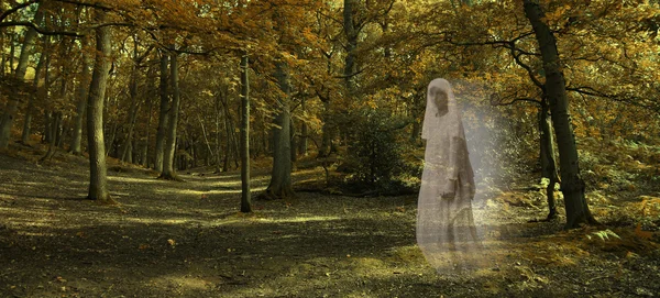 Ghostly figure gliding through autumn forest — Stock Photo, Image