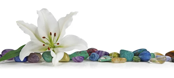 White Lily i uzdrowienie Crystal — Zdjęcie stockowe