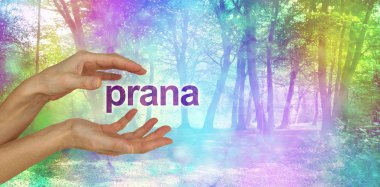 Güzel Prana enerji şifa  