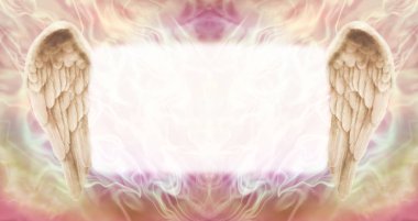 Angel wings yönetim kurulu mesajı   