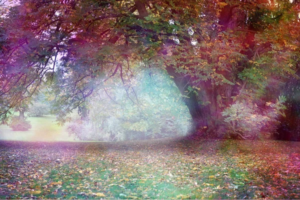 Fantezi peri ağaç manzara — Stok fotoğraf