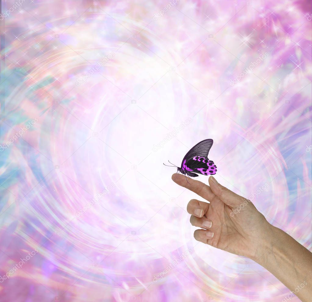 The fascinating energy of a Butterfly