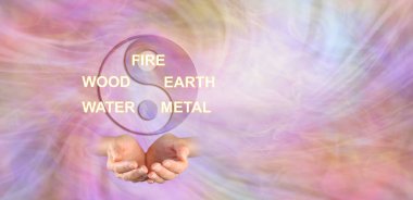 Geleneksel Çin tıbbı - yin yang sembolü bir çift götürdü eller ve kelime yangın ahşap dünya su Metal bir ruhani enerji çerçevede yukarıda 5 unsurları