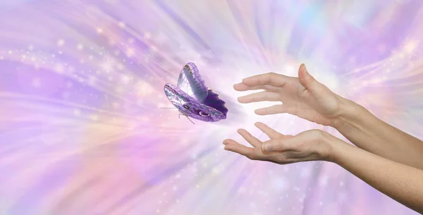 蝶の美しい平和な瞬間リリース 魂リリース メタファー 女性の手コピー スペースを持つピンクのエネルギー流れる背景に蝶の行くように表示されます — ストック写真