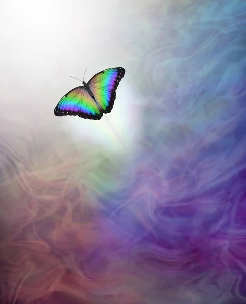 Soul Release Metaphor Passing Afterlife Lone Rainbow Coloured Butterfly Moving — Stock Photo, Image