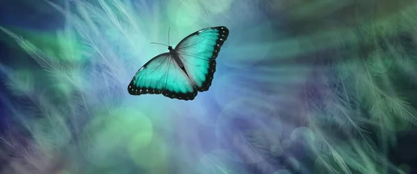 Soul Release Metaphor Departing Soul Lone Jade Green Coloured Butterfly — Stock Photo, Image