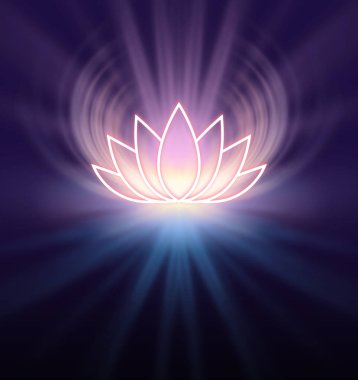 Kutsal Lotus sembolü - limon renkli lotus parlayan sembol yayan ışık kopya alanı altında bir siyah ve derin mor zemin üzerine tüm kenarlarından çiçek.   