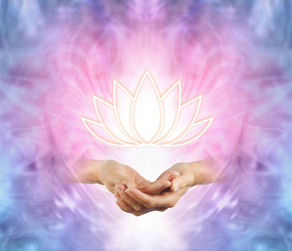 The Sacred Lotus - female cupped hands with an illuminated lotus flower symbol floating above on a pink purple blue and white energy background  