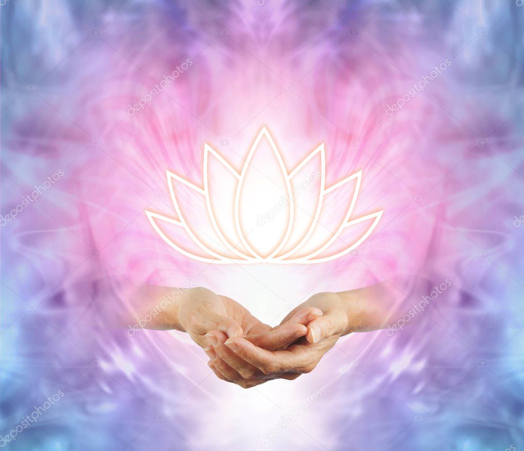 Lotus flower from above | Sacred Lotus Female Cupped Hands Illuminated
