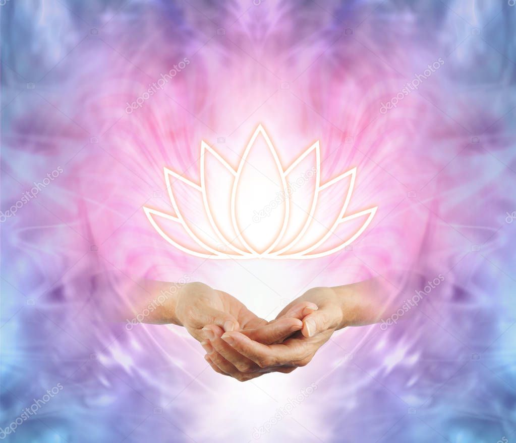 The Sacred Lotus - female cupped hands with an illuminated lotus flower symbol floating above on a pink purple blue and white energy background  