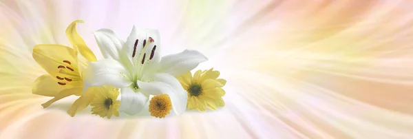 Zvláštní Květy Pro Zvláštní Příležitosti Bílá Lilie Žlutá Lilie Tři — Stock fotografie