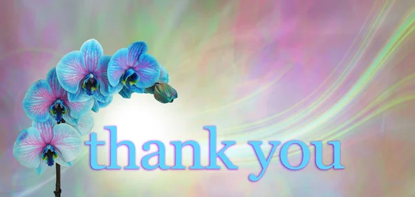 蓝色兰花谢谢你的信息横幅 蓝色和粉色兰花头部在流动的绿色和粉色背景与复制空间 — 图库照片