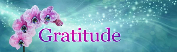 Dankbaarheid Orchidee Sparkle Banner Breed Jade Groen Stromende Glinsterende Bokeh — Stockfoto