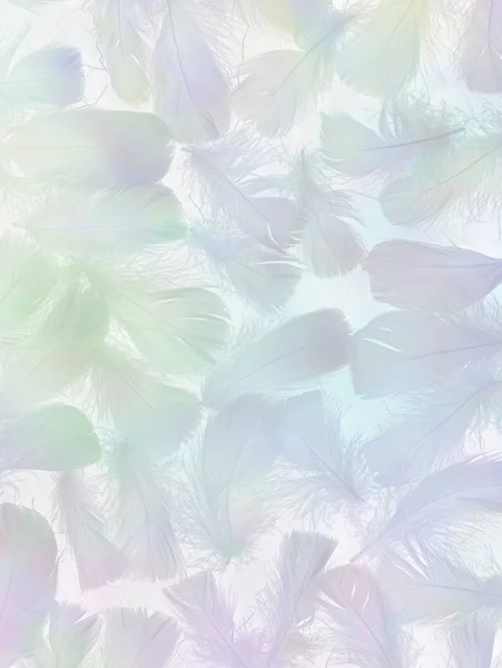 Angelic Feather Background バナー 薄い灰色の背景に対してフィルムの負の効果を持つ小さなランダム散乱多色羽 — ストック写真