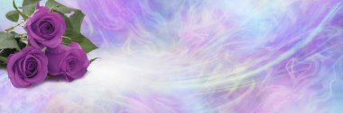 Three Beautiful Pink Rose heads background banner -  Three pink roses in left hand corner on a wide ethereal flowing pink and blue energy  background with plenty of copy space on right hand side