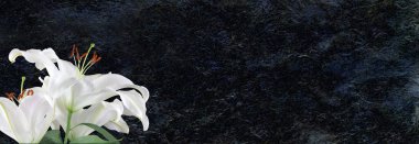Beyaz zambak en derin sempati bandı - siyah taşralı parlak kaya yüzüne karşı zambaklar cenaze ve taziye mesajları için ideal 