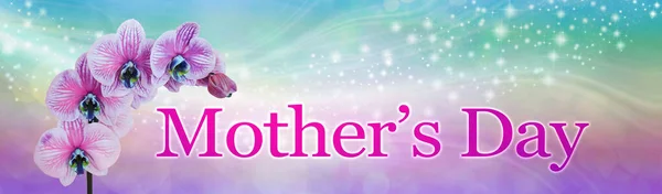母亲节特别的粉色兰花横幅 母亲节这几个字 用四朵兰花的美丽的花冠点缀在闪耀的粉色蓝色飘扬的背景上 — 图库照片