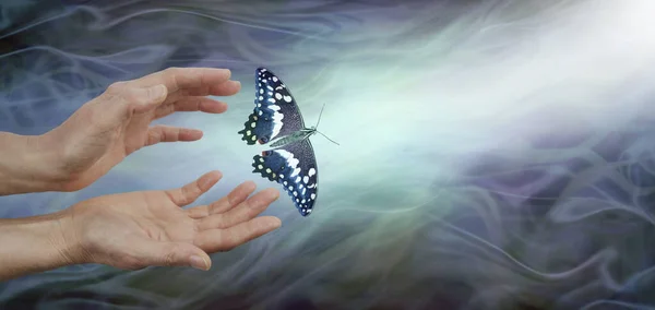 Releasing a butterfly into the light  - soul release metaphor - female hands appearing to let go of a butterfly on a dark blue grey energy flowing background with lift shaft in right corner and copy space