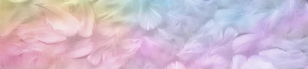 多色のパステルカラーの天使の羽のメッセージバナーの背景 ランダム散乱虹色のふわふわの羽の広いパネル — ストック写真