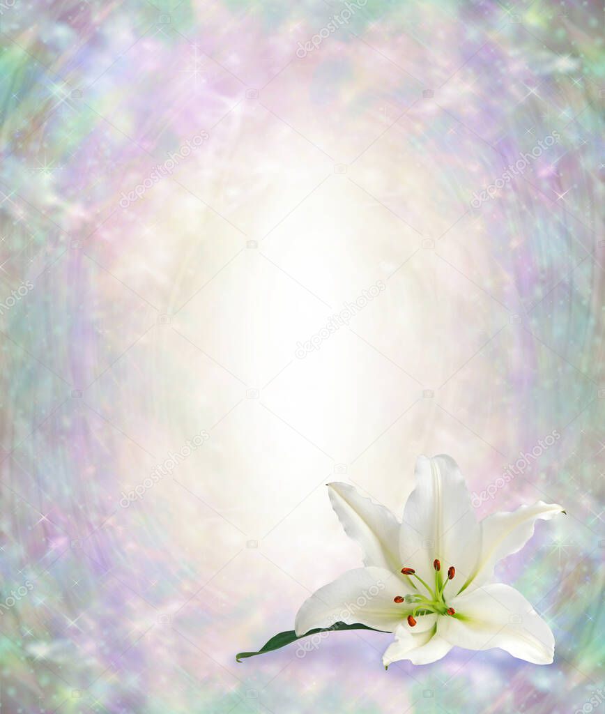  Funeral Wake Order of Service Lily Background - white lily head in bottom right corner against a subtle angelic ethereal graduated pastel coloured background with white centre for copy                               