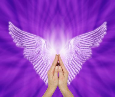 Melek Rehberi arayan melek terapisti - Bir çift soluk leylak melek kanatlarıyla dua eden kadın ellerini mor votuvalet enerjisi formasyonuna yaslayıp boşluğu kopyalayarak