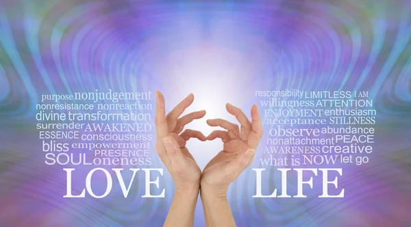 Love Life Word Cloud Concept Kvinnliga Händer Med Liljor Gör — Stockfoto