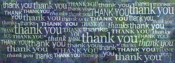 Really Can Thank You Enough Banner Grunge Blue Green Rustic — стоковое фото