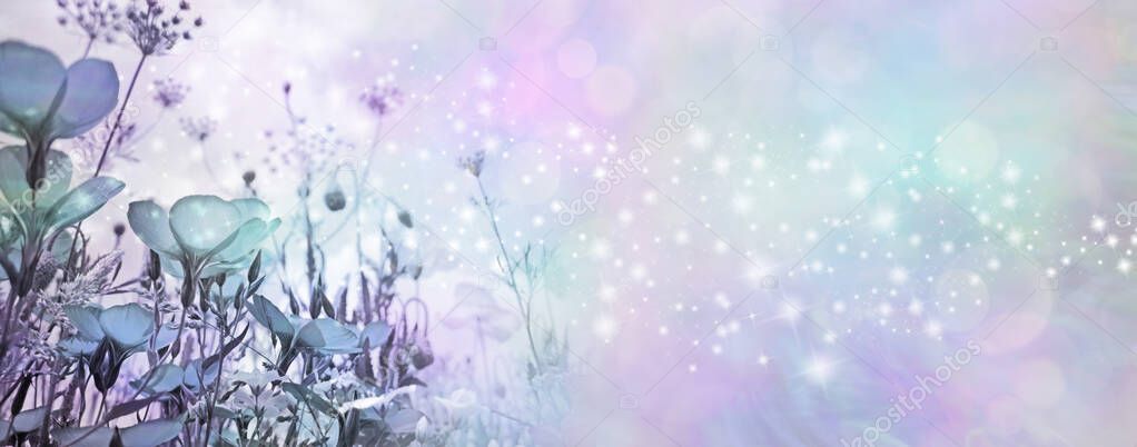Special Occasion Pastel blue flower sparkle wide banner - random shimmering sparkles flowing across the bokeh background with meadow flowers in left corner and copy space                        