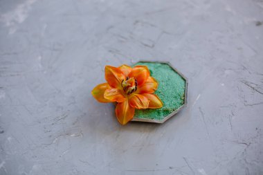 Konsantrasyon spa tedavileri, spa hazırlıkları. Sarı laleyle süslenmiş gümüş bir tabakta yeşil vücut fırçası.